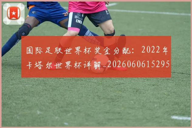 国际足联世界杯奖金分配：2022年卡塔尔世界杯详解_20260606152955